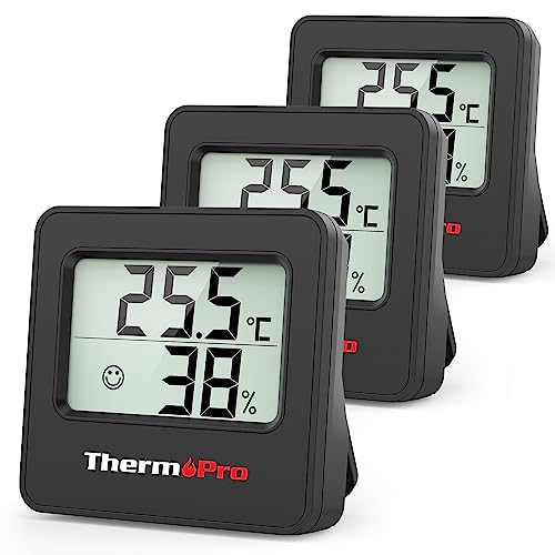 Thermometer mit Umschaltung