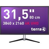 TERRA TERRA LCD/LED 3290W 4K DP/HDMI/HDR LCD-Monitor (80 cm/31.5 ", 1,07 Milliarden Farben (10 Bit)…